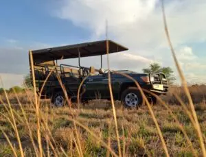 landcruiser 79 series game viewer