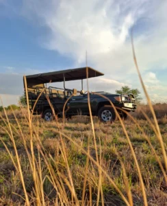 landcruiser 79series gameviewer