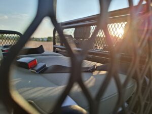 landcruiser 79series gameviewer