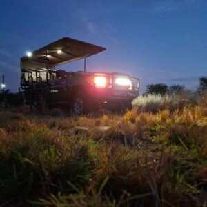 landcruiser 79series gameviewer